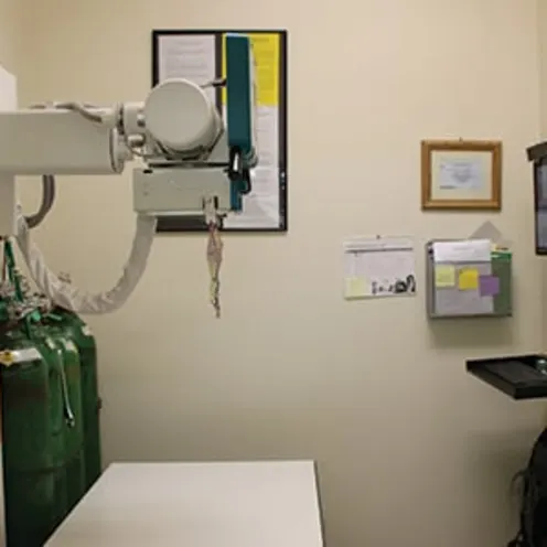 An xray machine and table inside Evergreen Veterinary Clinic
